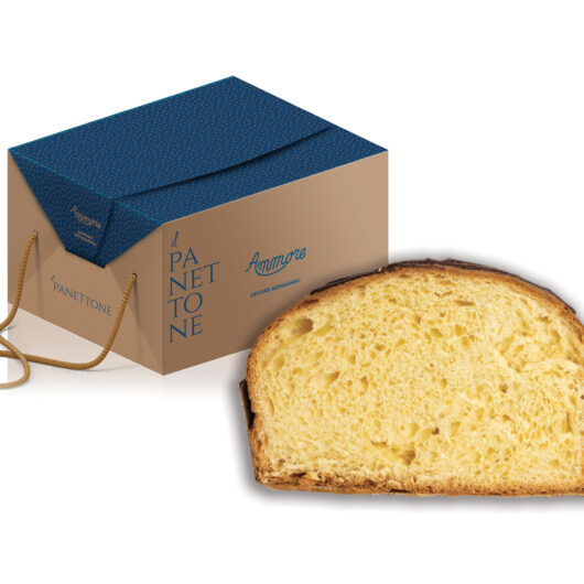 Panettone artisanal <br> Pandorato